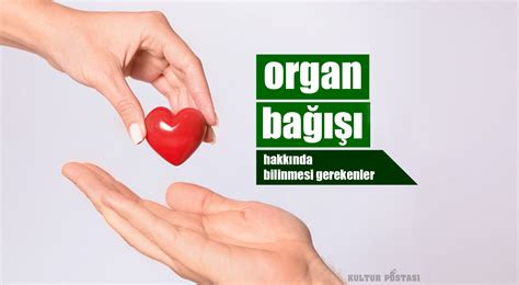 organ bağışı hakkında ayetler